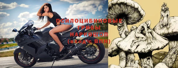 синтетический гашиш Медвежьегорск